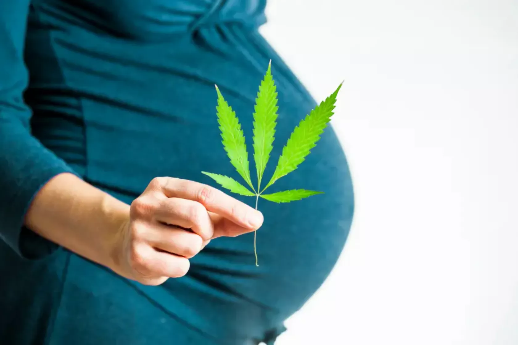 Schwangere Frau hält ein Cannabisblatt in der Hand.