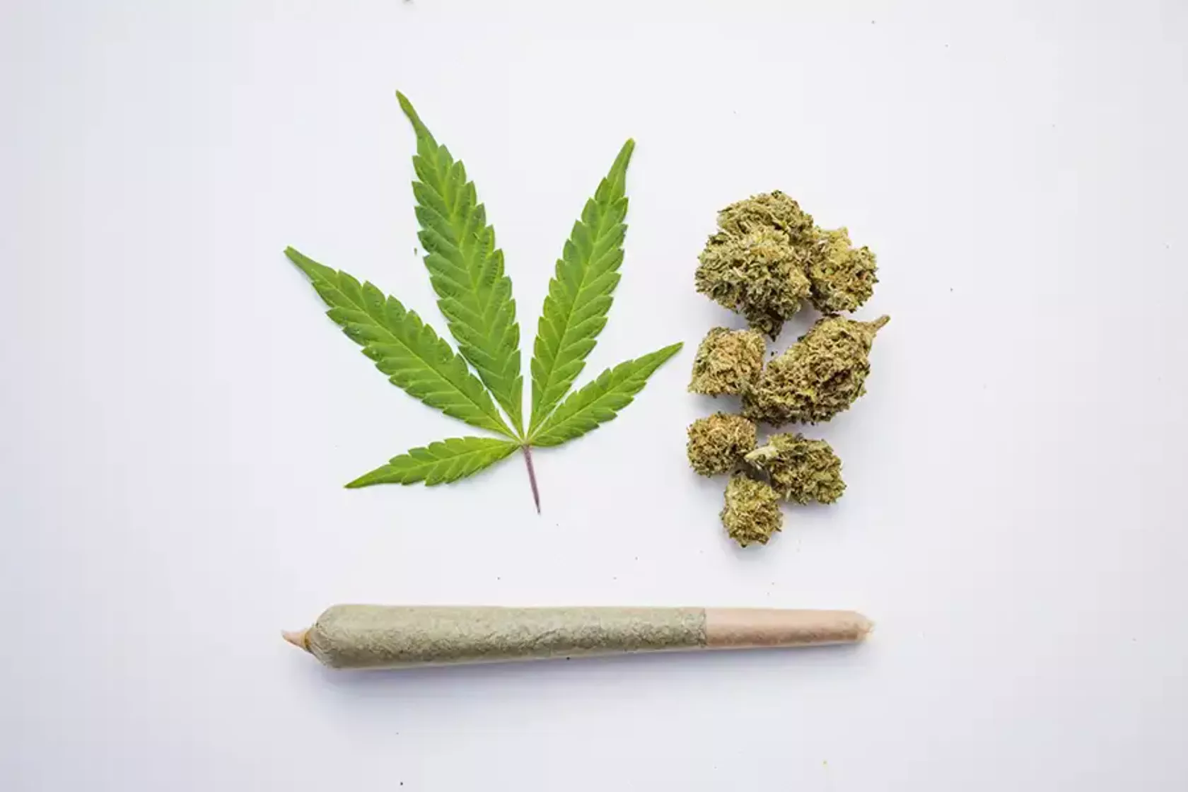 Cannabis-Blatt, getrocknetes Cannabis und vorbereiteter Joint.