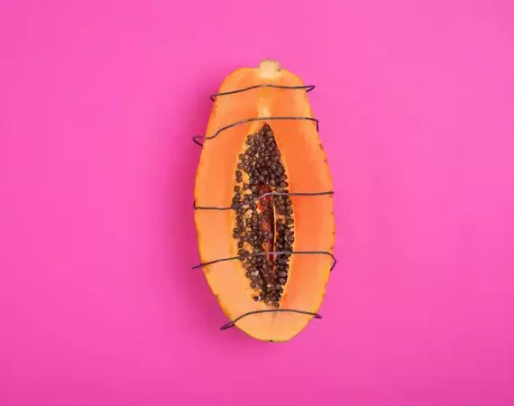 Eine aufgeschnittene Papaya, mit Draht umwickelt, als Symbol für Schmerzen im Intimbereich der Frau, Vulvodynie, Scheidenkrämpfe