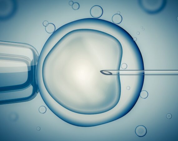 In-vitro-fertilisation-screening-trisomie_AdobeStock_100172558.jpeg