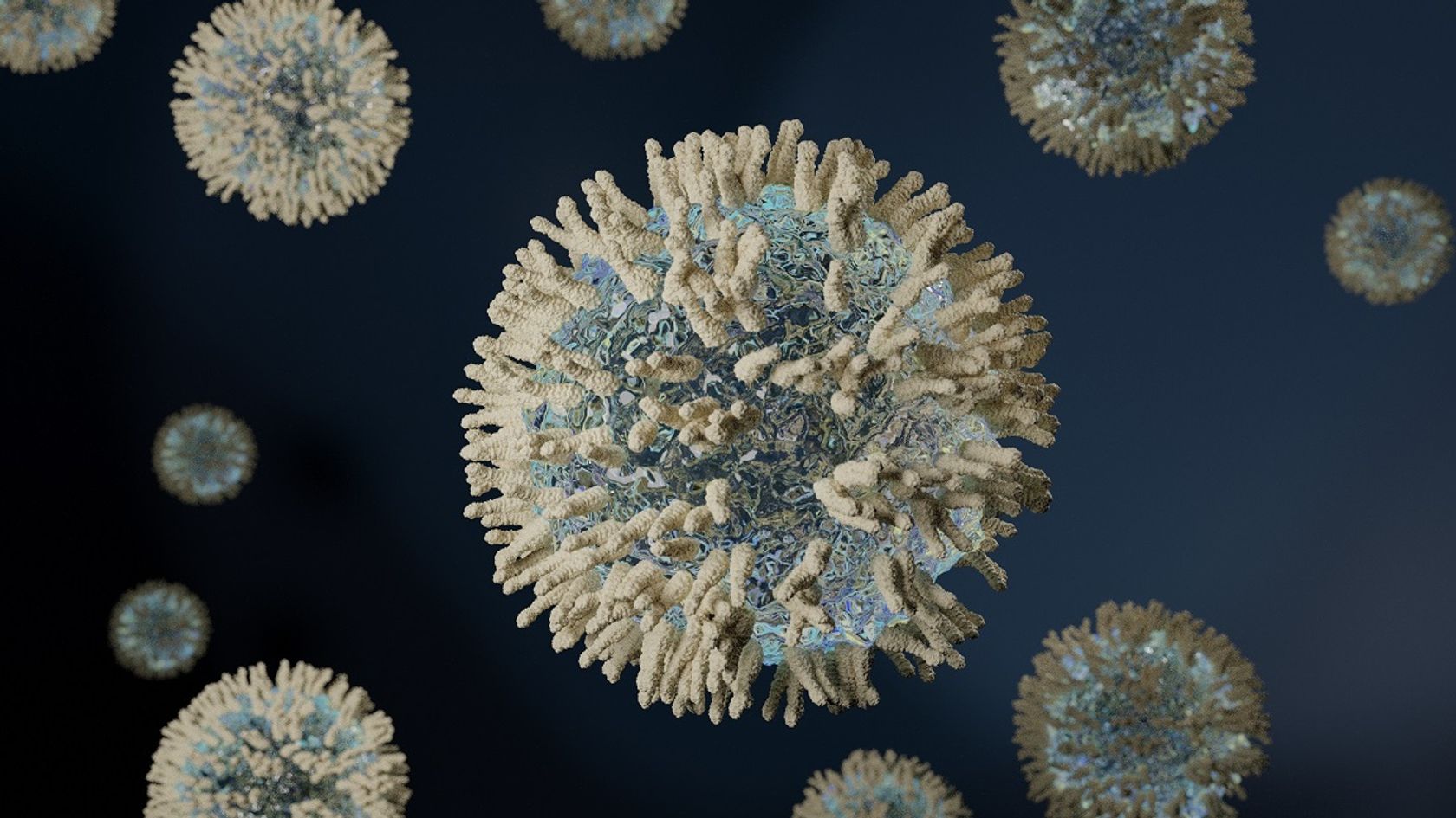 SARS-COV-19 Virus unter dem REM