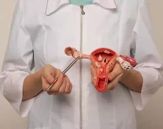 Ärztin hält ein Modell von Uterus mit Eileitern und Ovarien und deutet darauf.